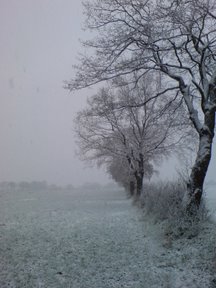 /images/2006/ersterschnee_s.jpg